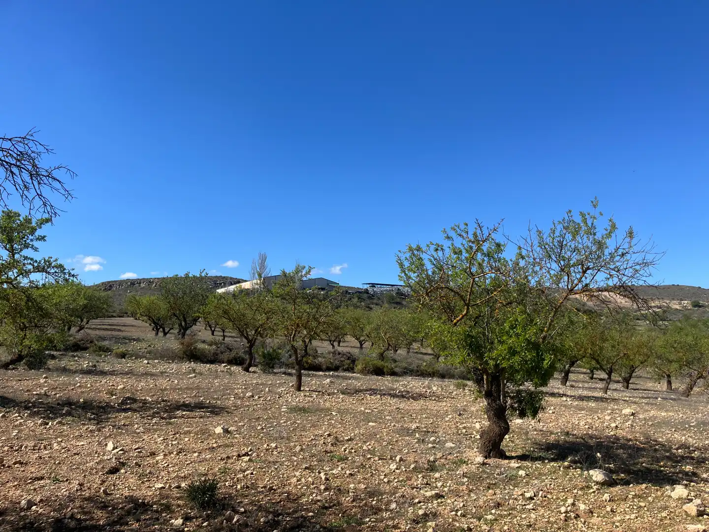 Rustikales Grundstück zum Verkauf in Avenida de Andalucía, imagen 6