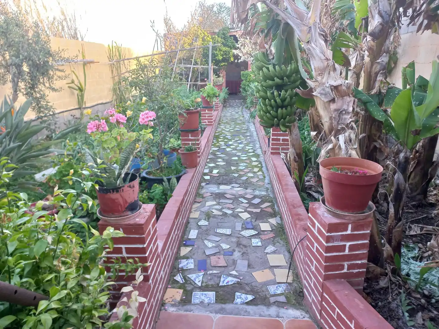Casa rustica in vendita a Adra, imagen 7