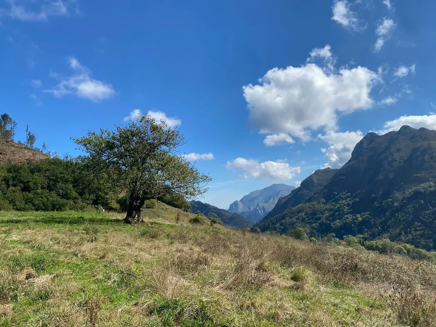 Maison avec jardin à vendre à Tresmonte, imagen 11