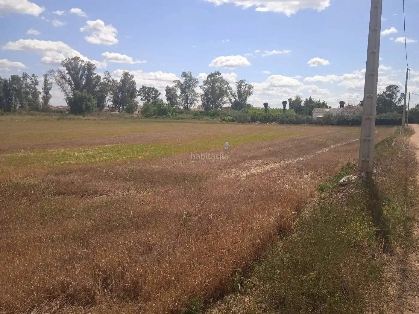 Terreno rustico in vendita a EX-105 9, imagen 12