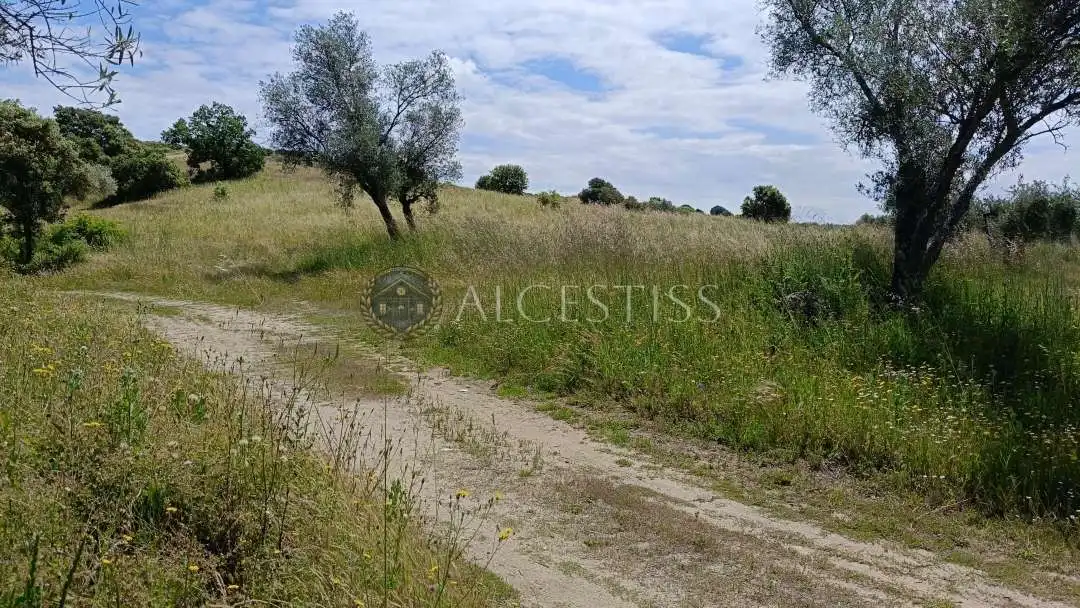 Land for sale in Méntrida