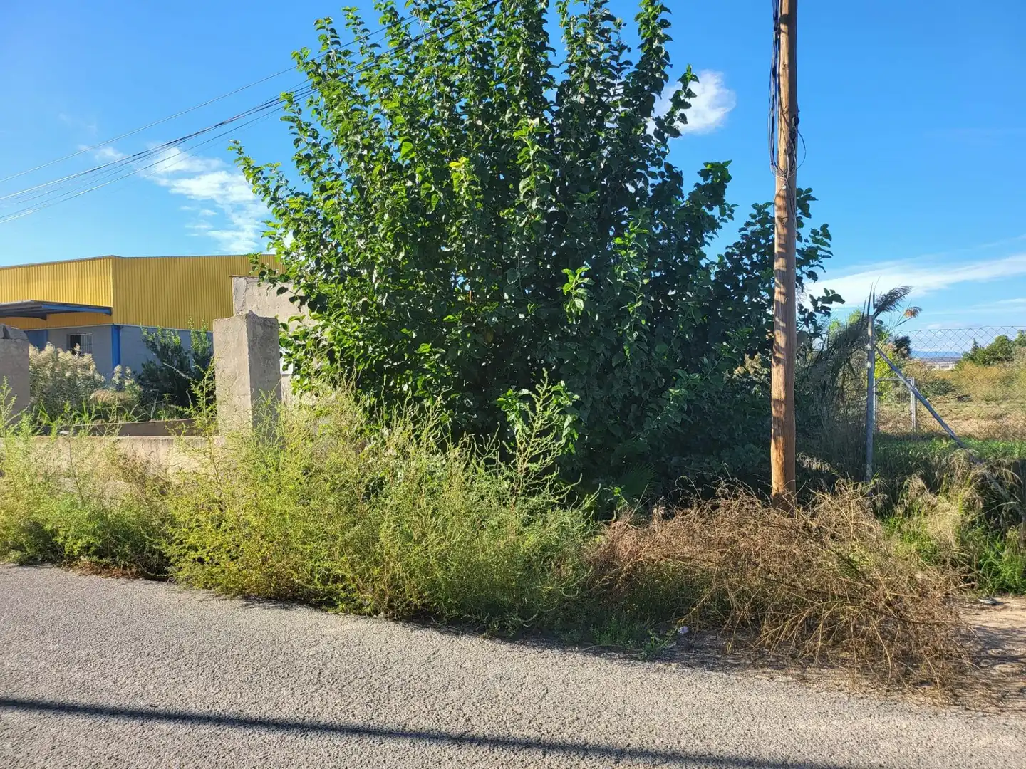 Terrenys i solars en venda a Pedanías Este, imagen 10