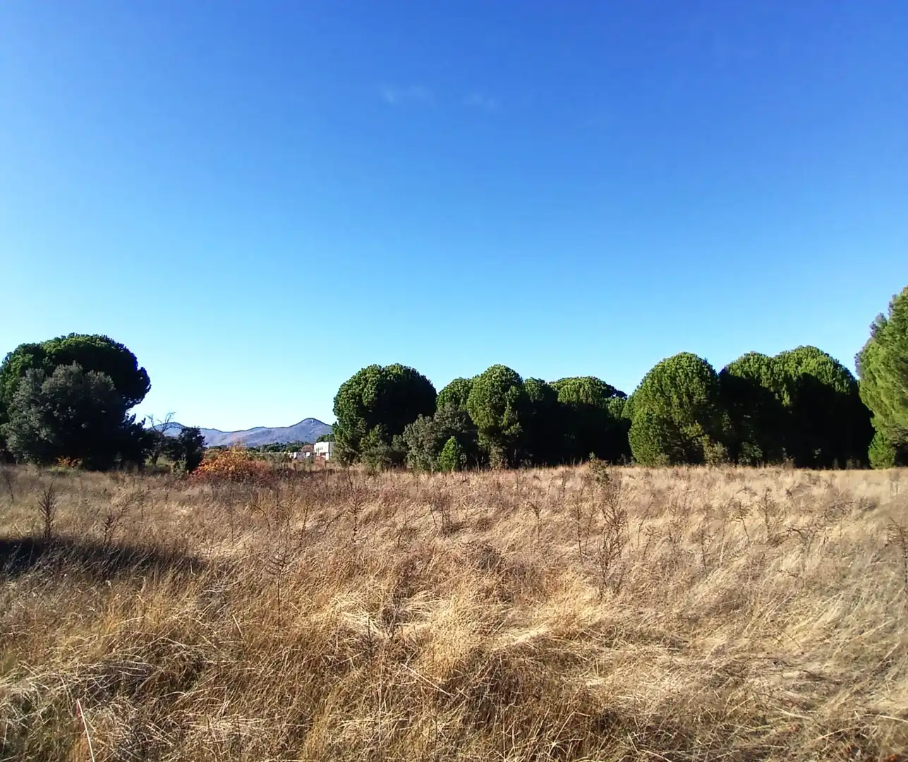 Rural land for sale in M-501, imagen 11