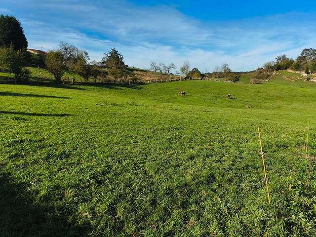 Terreno residencial en Venta en Lugar la Villa Riba, 12 en Piloña