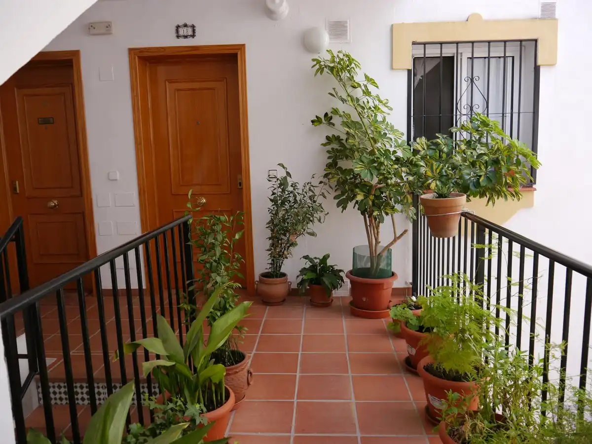 Apartment zum Verkauf in Cómpeta, imagen 11