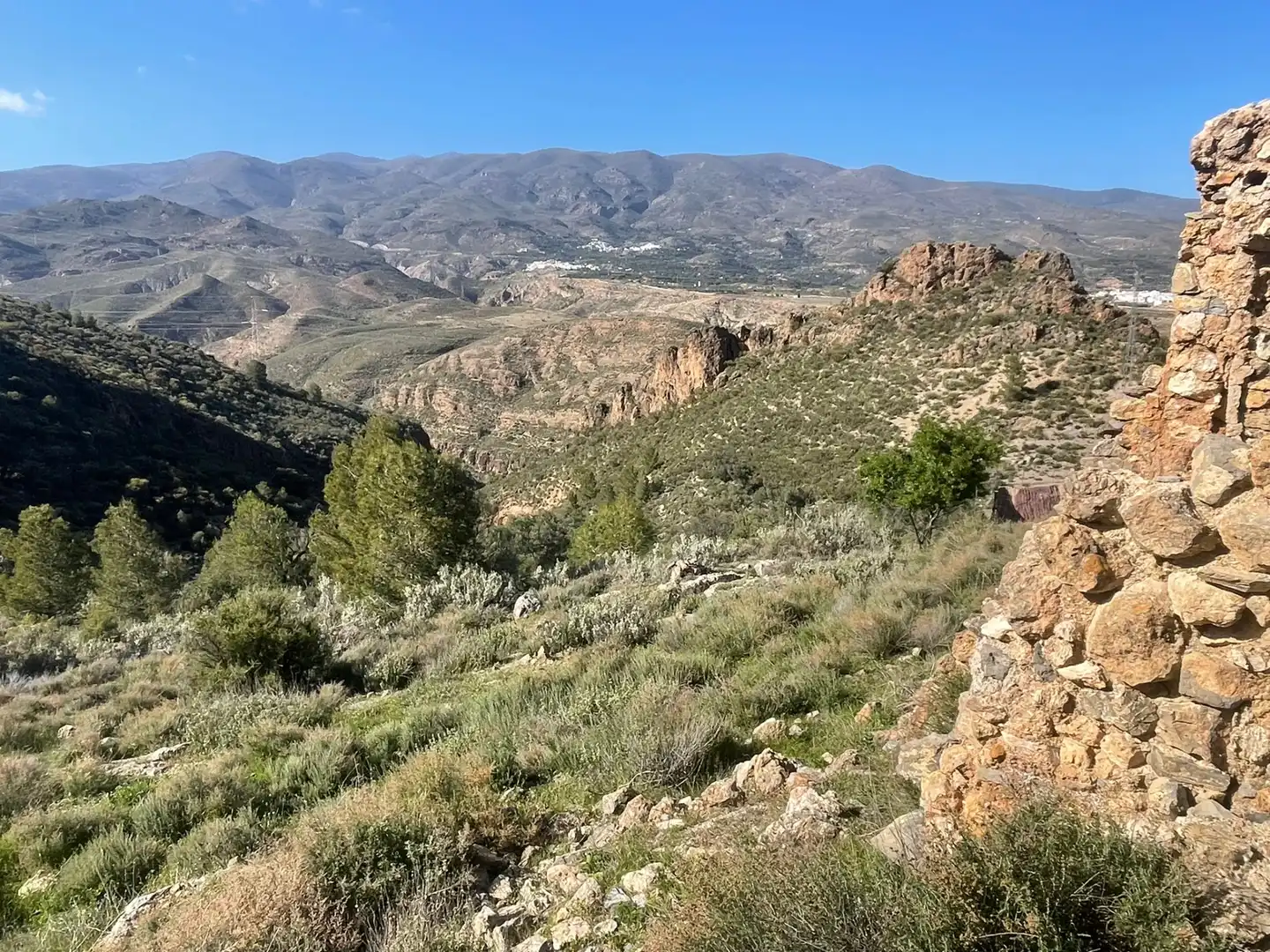 Vista exterior de Terreno en venta en Almócita