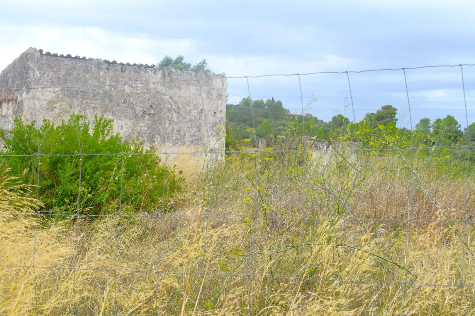 Residential land for sale in Santa Margalida Poble, imagen 19