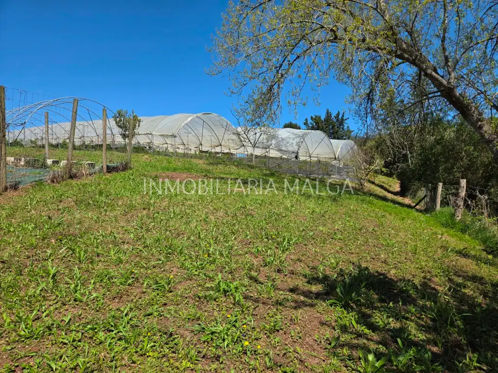 Casa o xalet en venda en Colunga amb Calefacció, Jardí privat i Parquet