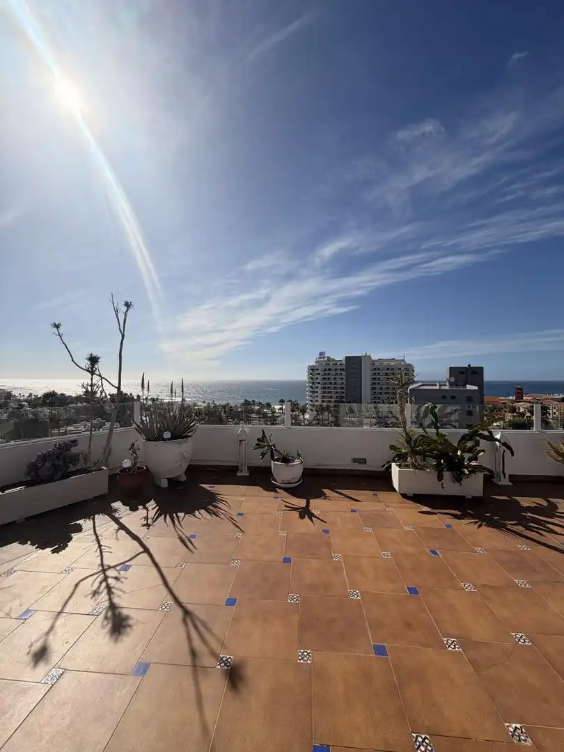 Terrace of Flat for sale in Adeje  with Air Conditioner, Terrace and Furnished