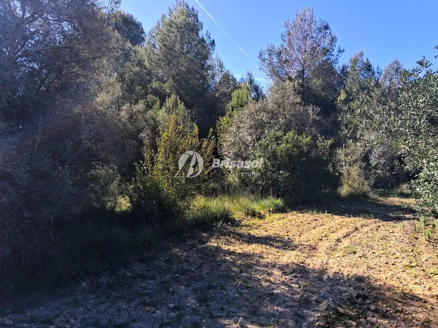 Rural land for sale in La Secuita, imagen 11