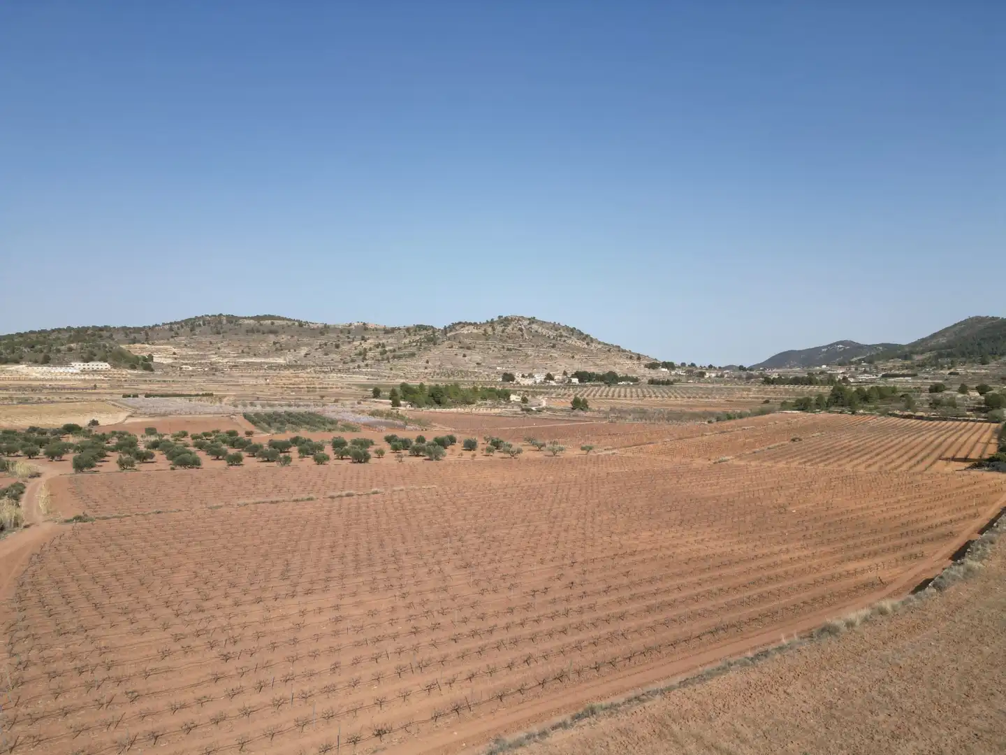 Residential land for sale in El Pinós / Pinoso, imagen 6