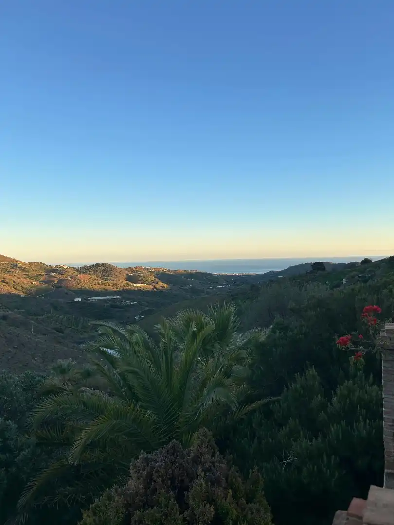 Vista exterior de Finca rústica en venda en Macharaviaya amb Terrassa, Traster i Piscina