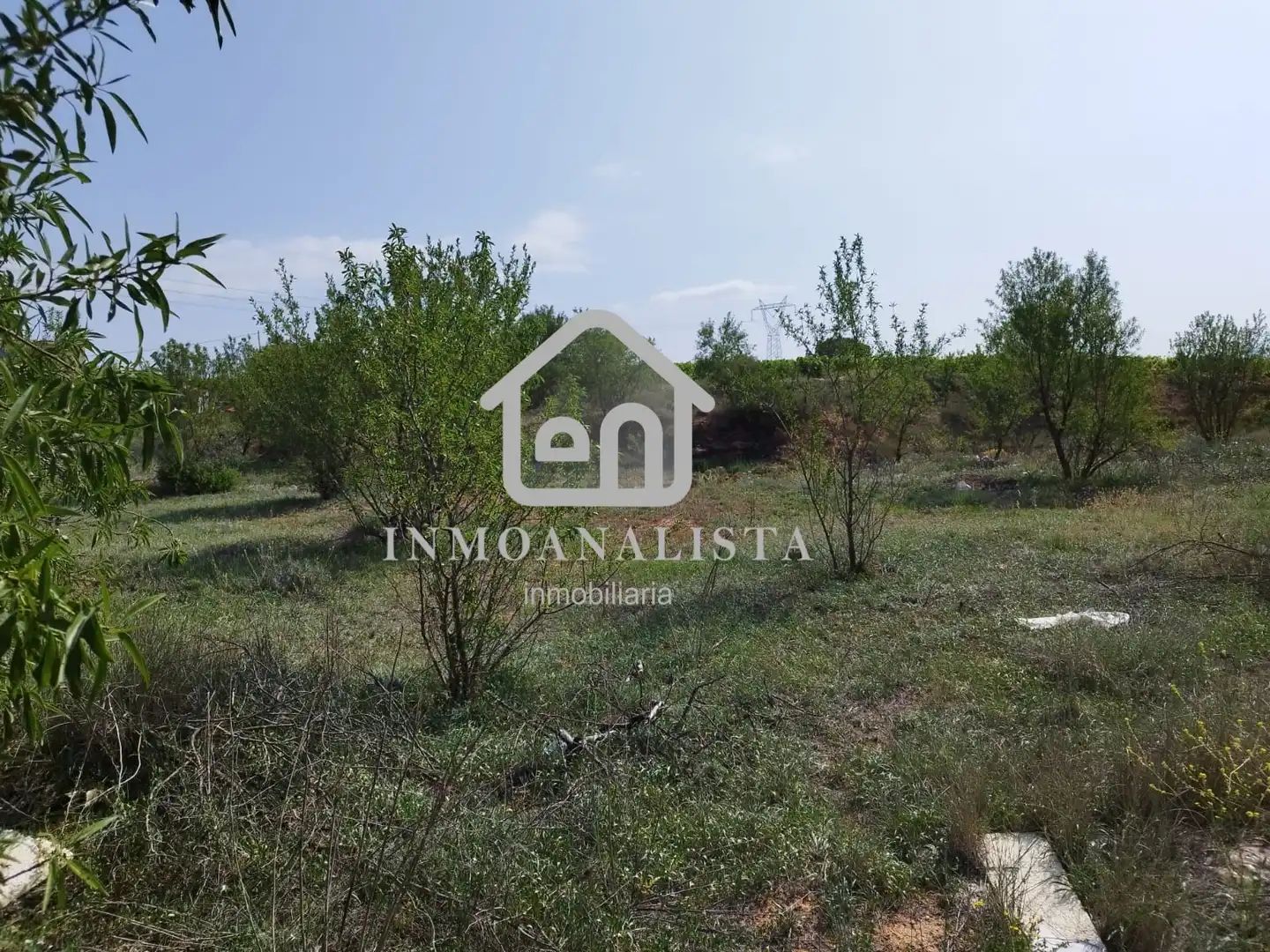 Rural land for sale in E-901, imagen 2