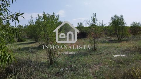 Parcela rustica en Polígono  El  Romeral de Requena, immagine 2