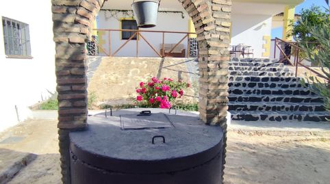 Foto 4 de Finca rústica en venda a Arcos de la Frontera, Cádiz