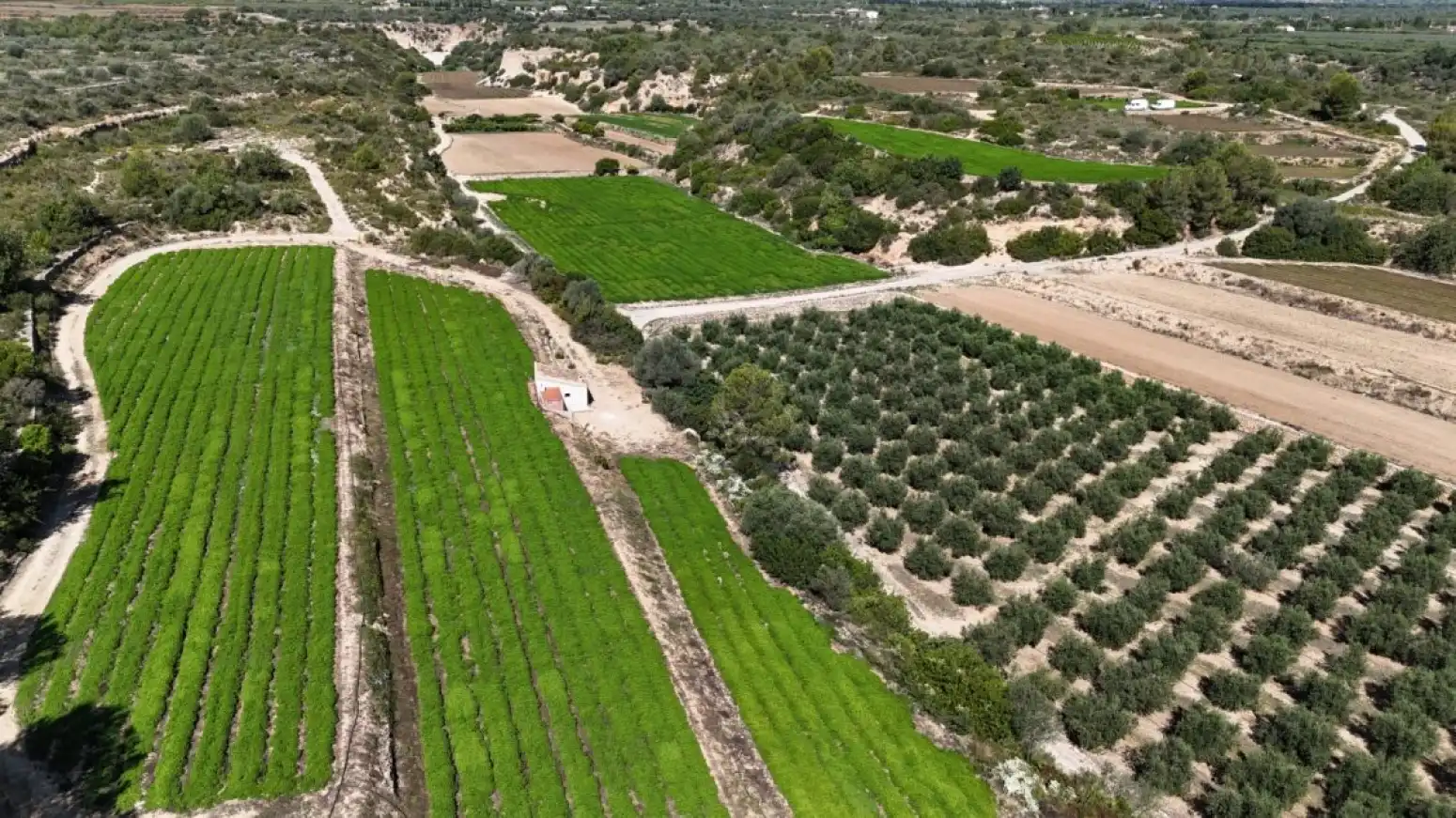 Terreno rustico in vendita a Benifallet - carretera C12, imagen 16
