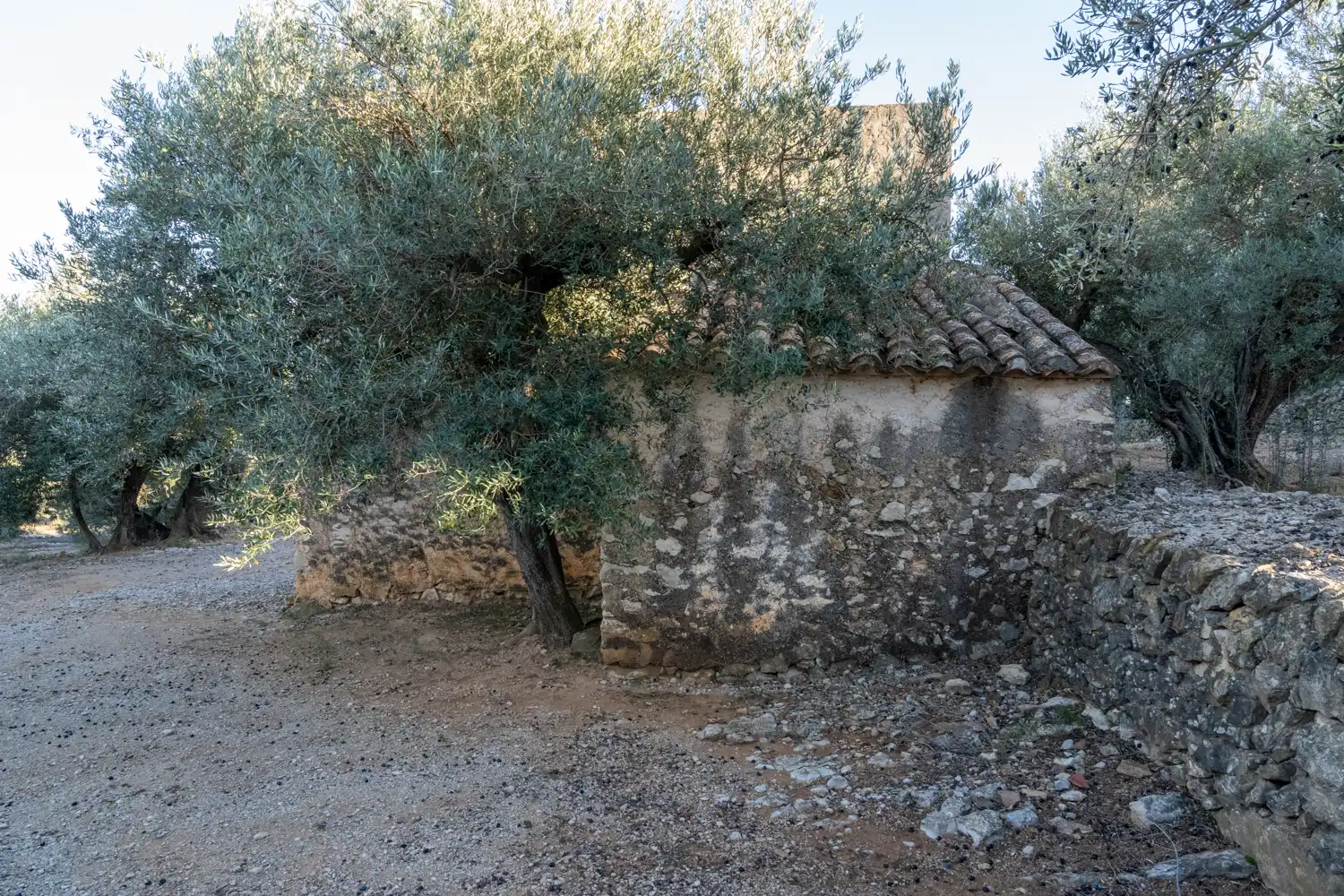 Terrain rustique à vendre à Roquetes, imagen 17