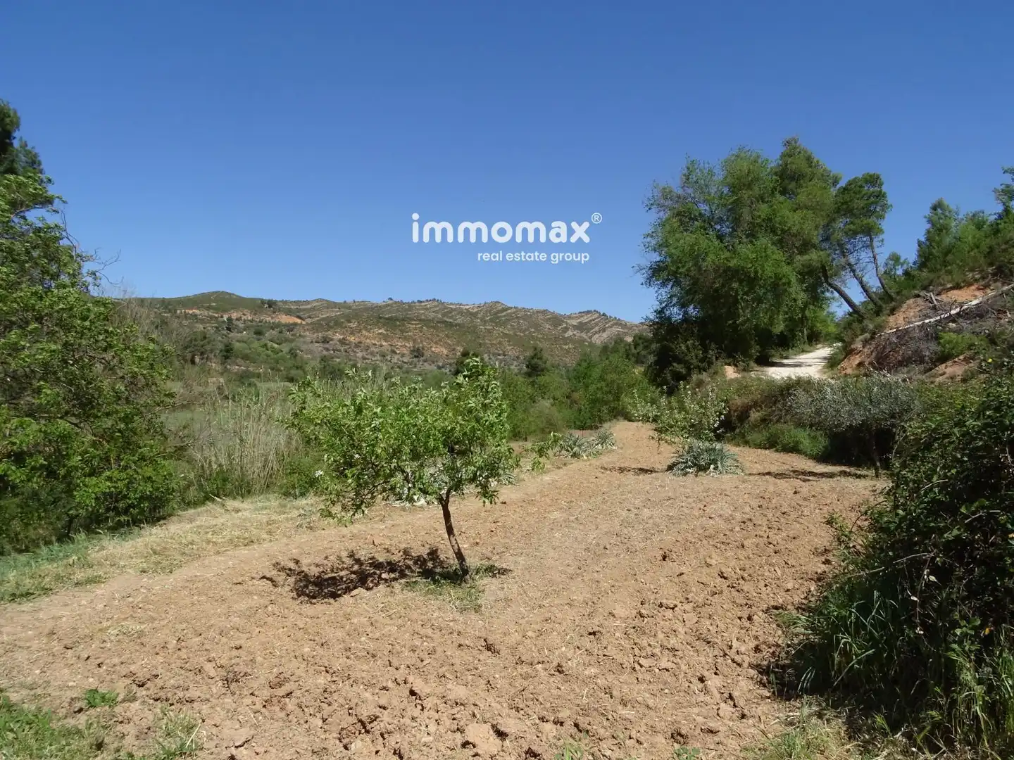 Rural land for sale in 32, imagen 3