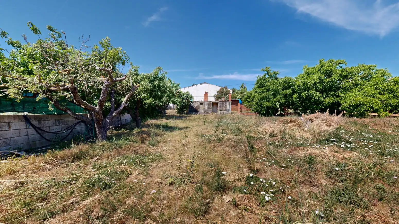 Land for sale in Tafalla