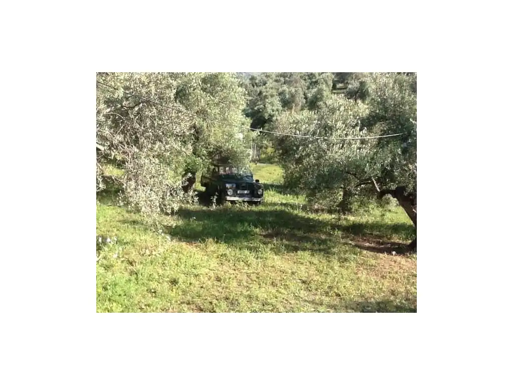 House for sale in Zahara, imagen 5