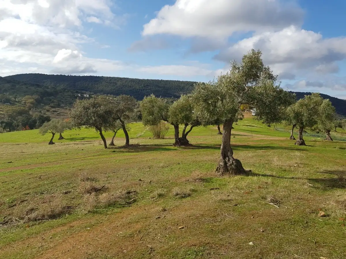 Country house zum Verkauf in Villanueva del Rey mit Privatgarten und Abstellraum