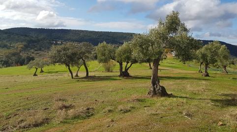 Foto 2 de Finca rústica en venta en Villanueva del Rey, Córdoba