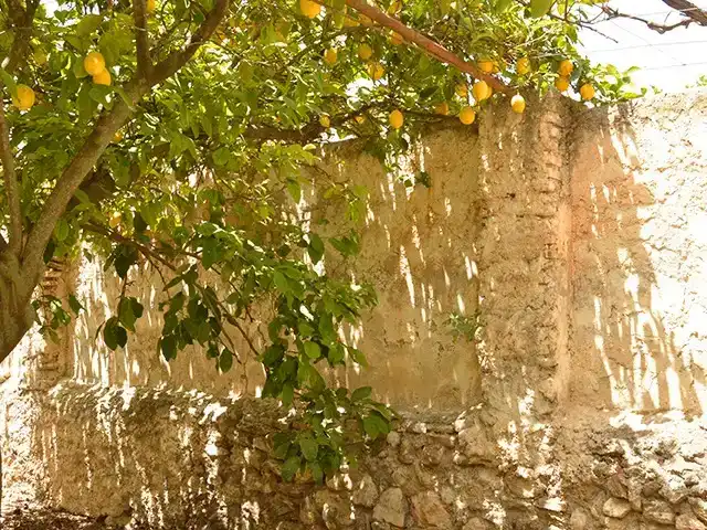 Vista exterior de Casa adosada en venda en Lecrín amb Terrassa i Balcó
