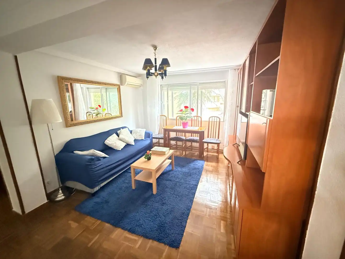Living room of Flat for rent in Ciudad Lineal