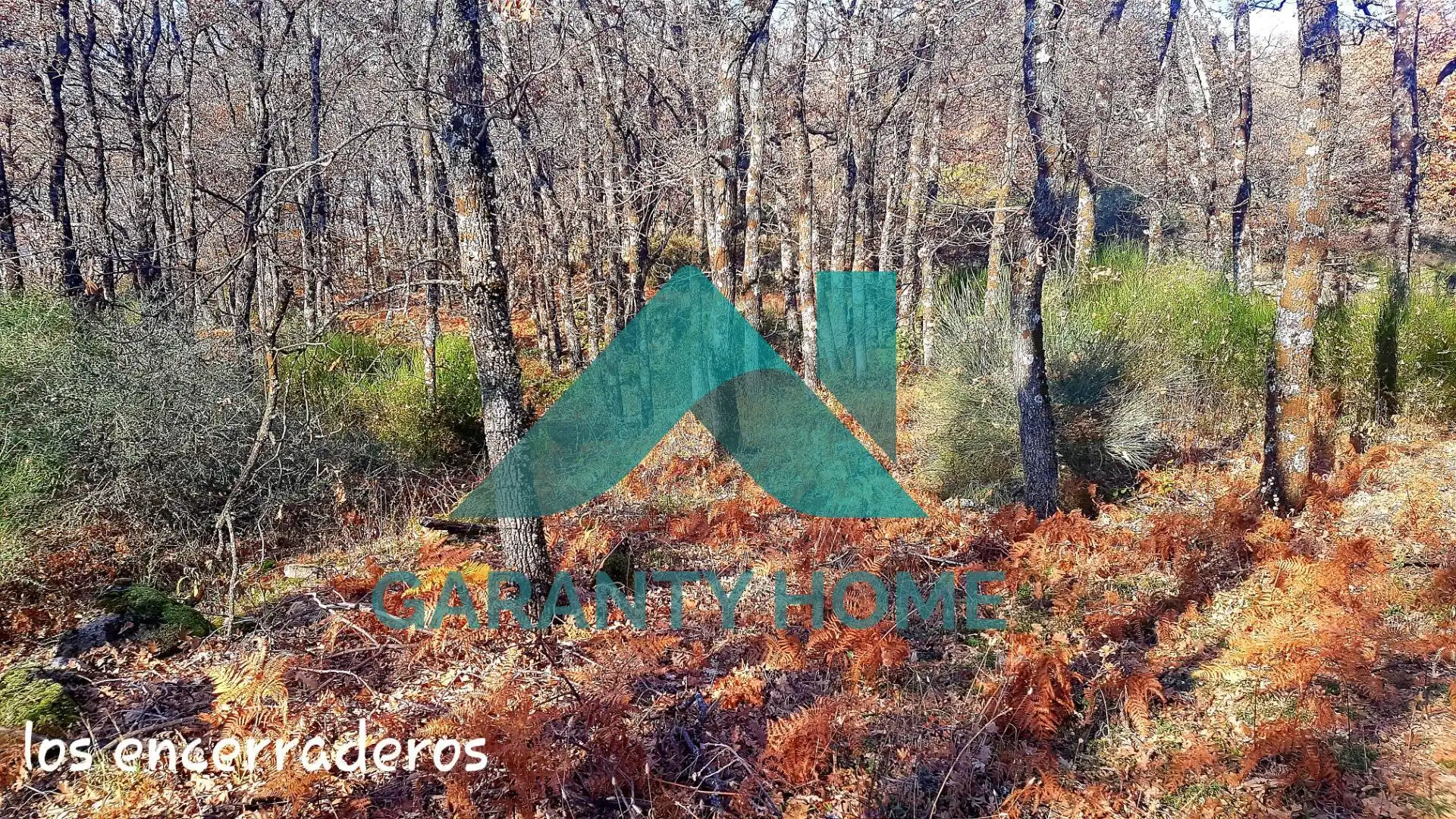 Finca rústica en venta en Aldeanueva de la Vera