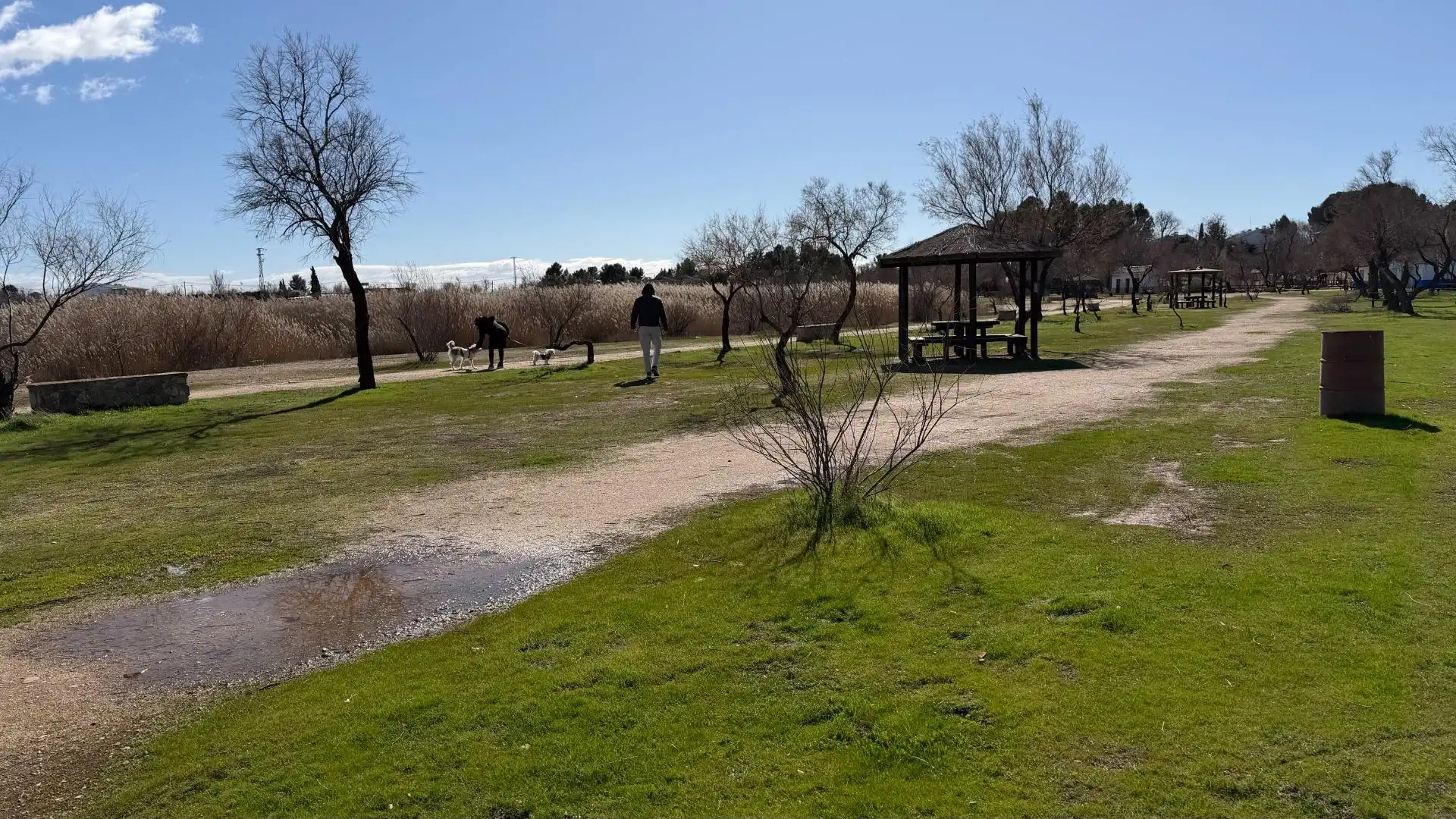 Chalet con jardín en venta en Villafranca de los Caballeros, imagen 48