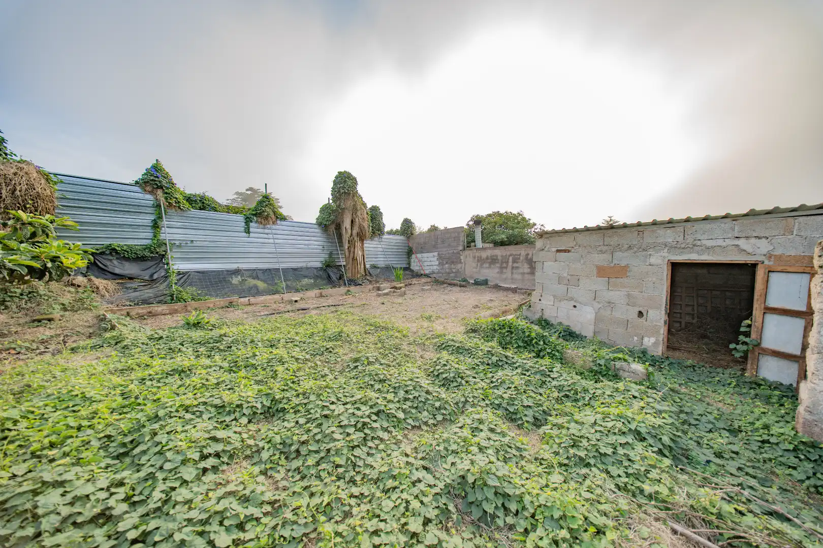 Casa o chalet en venta en Tacoronte