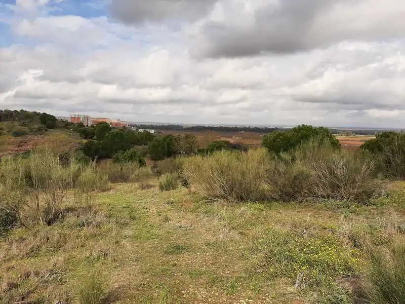 Terreni e lotti in vendita a GOLF DEL GUADIANA, imagen 11