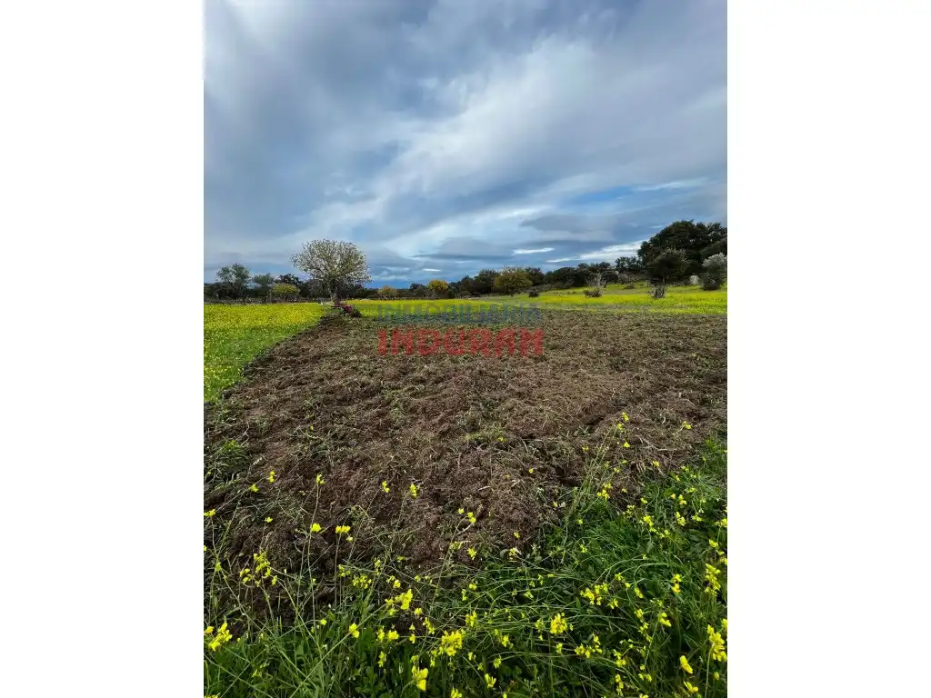 Finca rústica en venta en Valdehúncar