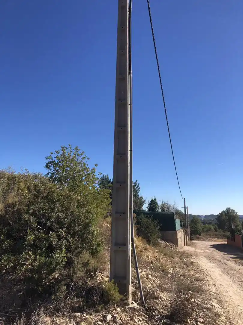 Vista exterior de Terreno en venta en Pedralba