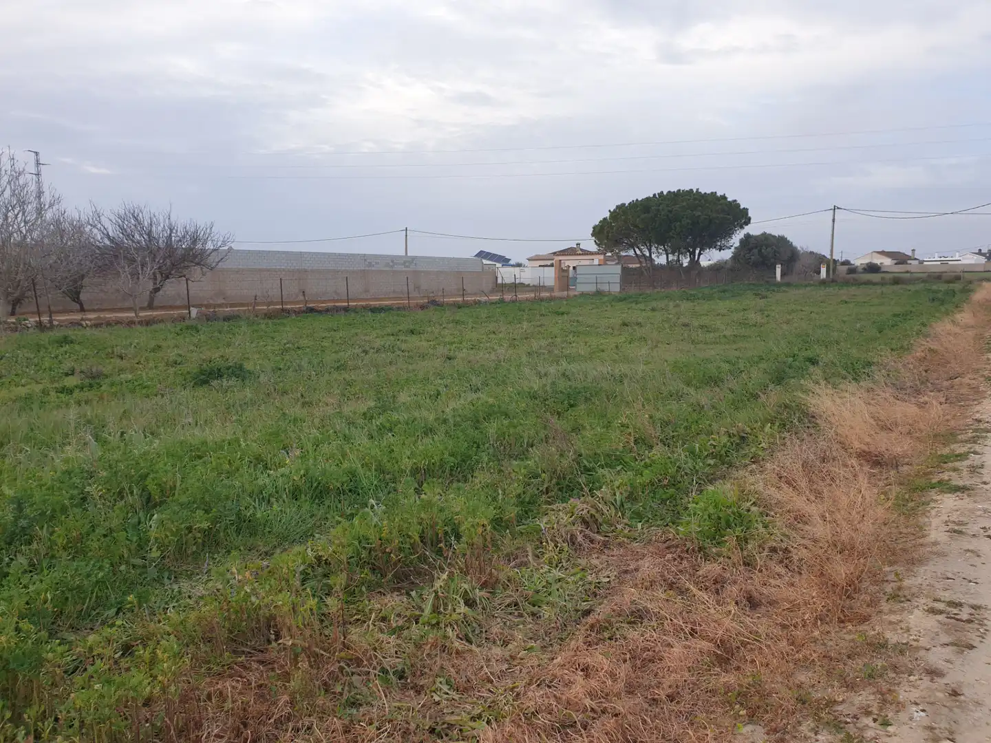 Terreny rústic en venda a Los Franceses – La Vega, imagen 5