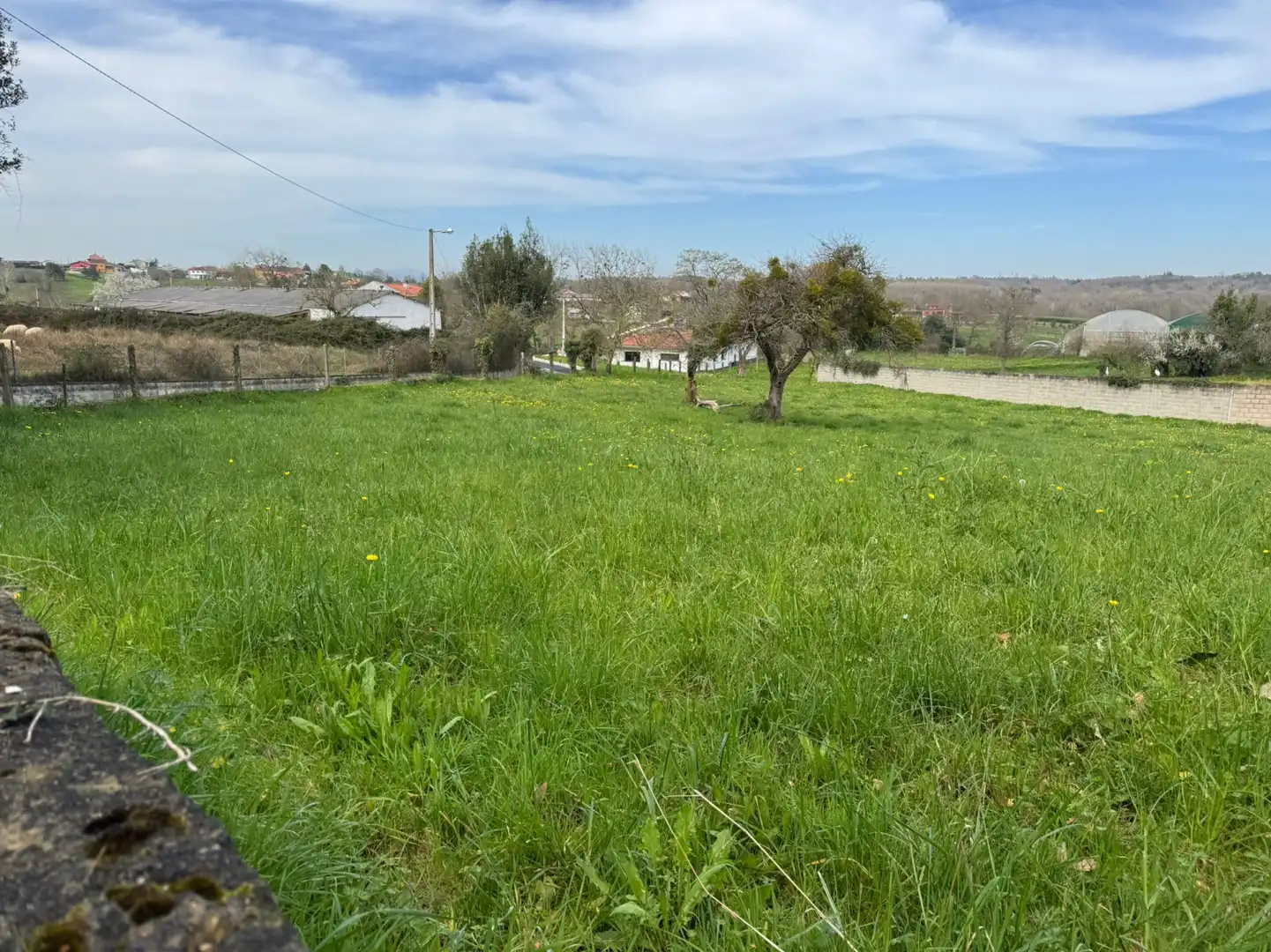 Residencial en venda a San Miguel - CAMÍN DE LOS LLOREOS, El Berrón - La Carrera