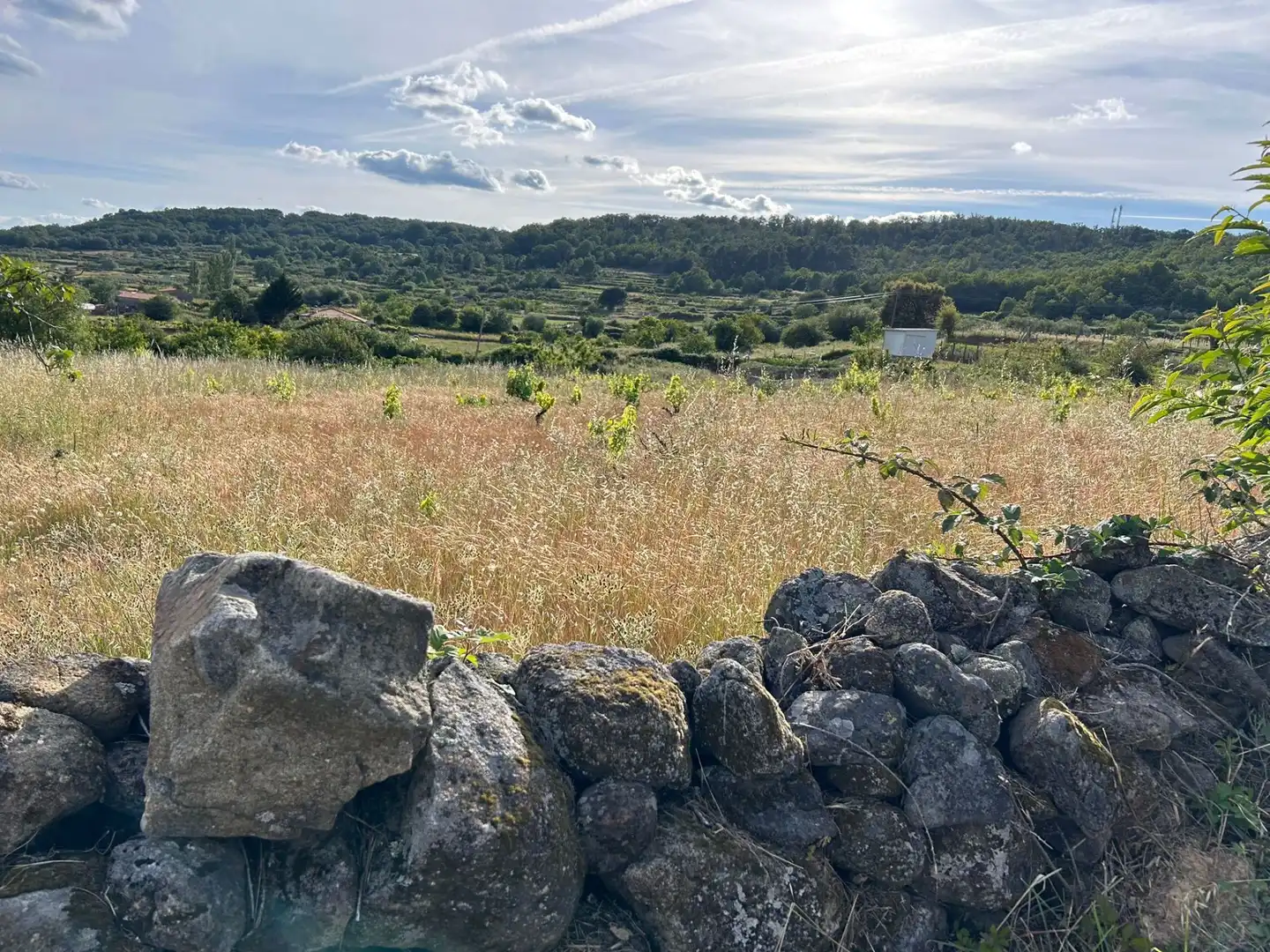 Terreni e lotti in vendita a Villamiel, imagen 7