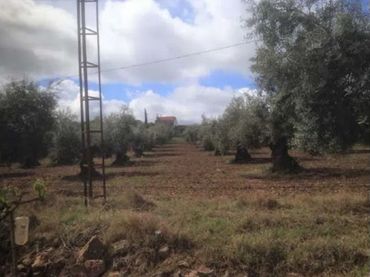 House for sale in LGSOLIS