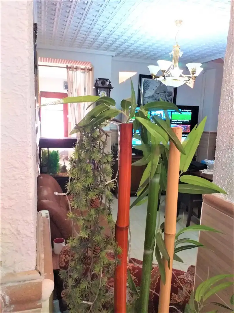Jardín de Casa adosada en venta en Vinalesa con Aire acondicionado, Calefacción y Jardín privado