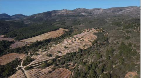 Photo 4 of Country house for sale in Polígono 24, 12, Les Coves de Vinromà, Castellón