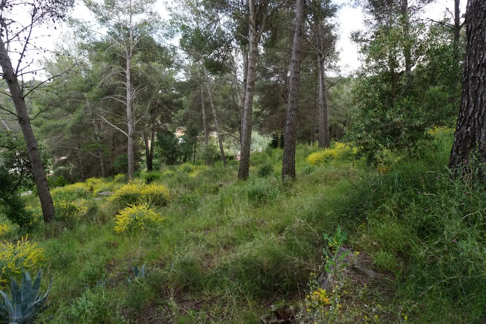 Terreno residenziale in vendita a Calle Ferreteries, imagen 28