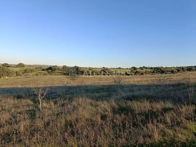 Terreno rústico en venta en Villamanta, imagen 9