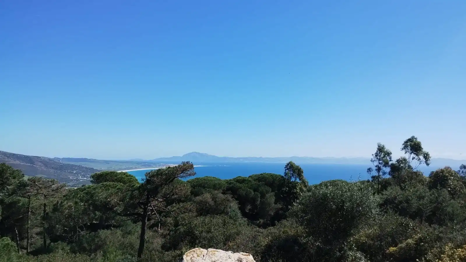 Rural land for sale in Carretera de Betis 20