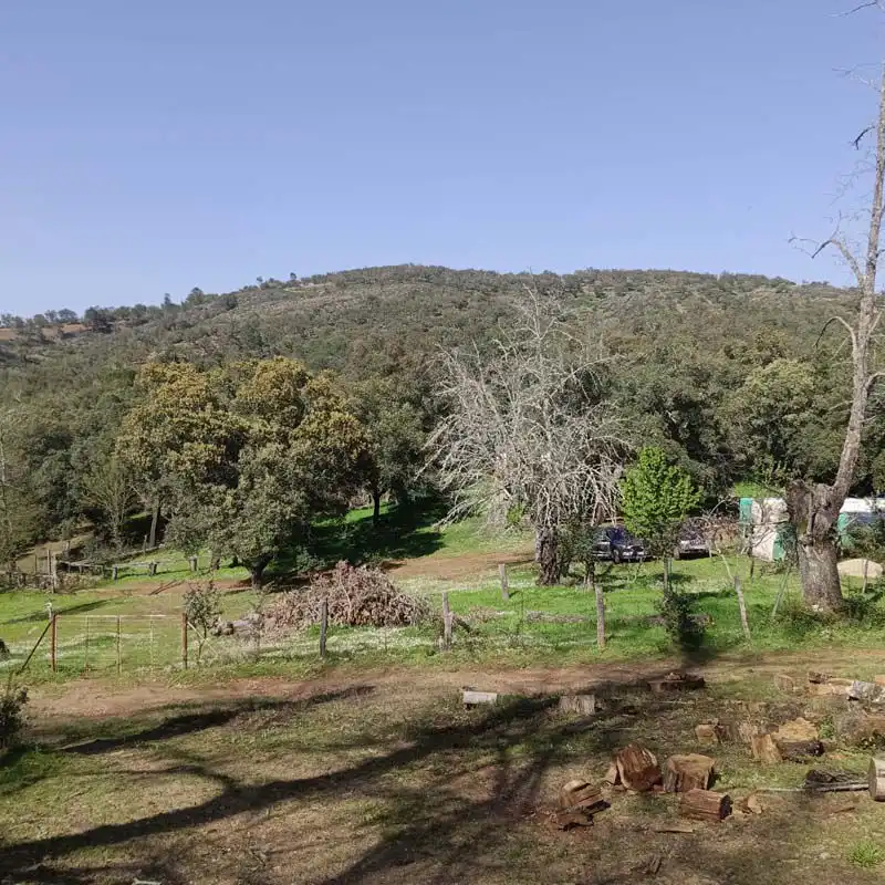 Finca rústica en venta en Cortelazor