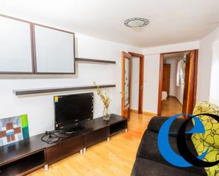 Living room of Flat for sale in Orio