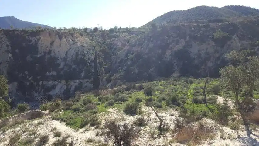 Finca rústica en venta en Ricote