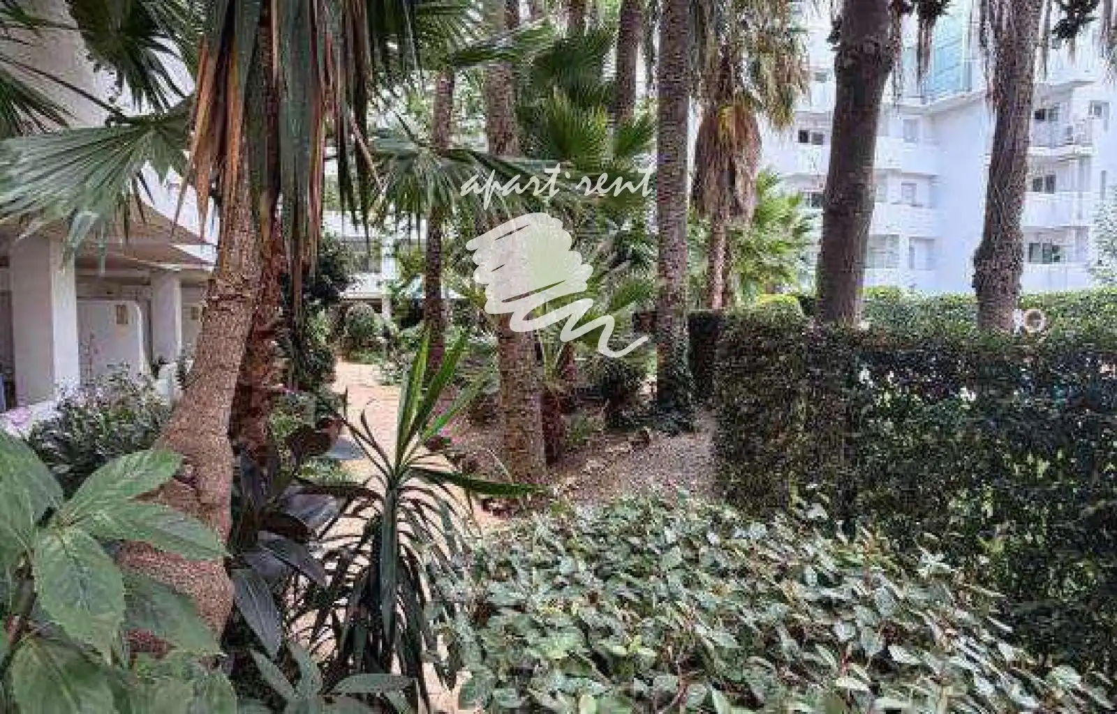 Wohnung mit Terrasse zum Verkauf in Port Joan, imagen 5