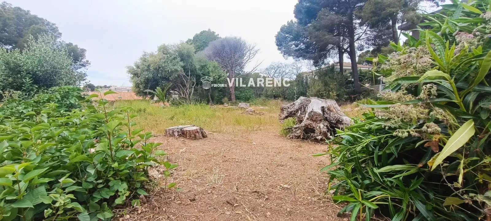 Rural land for sale in SAL