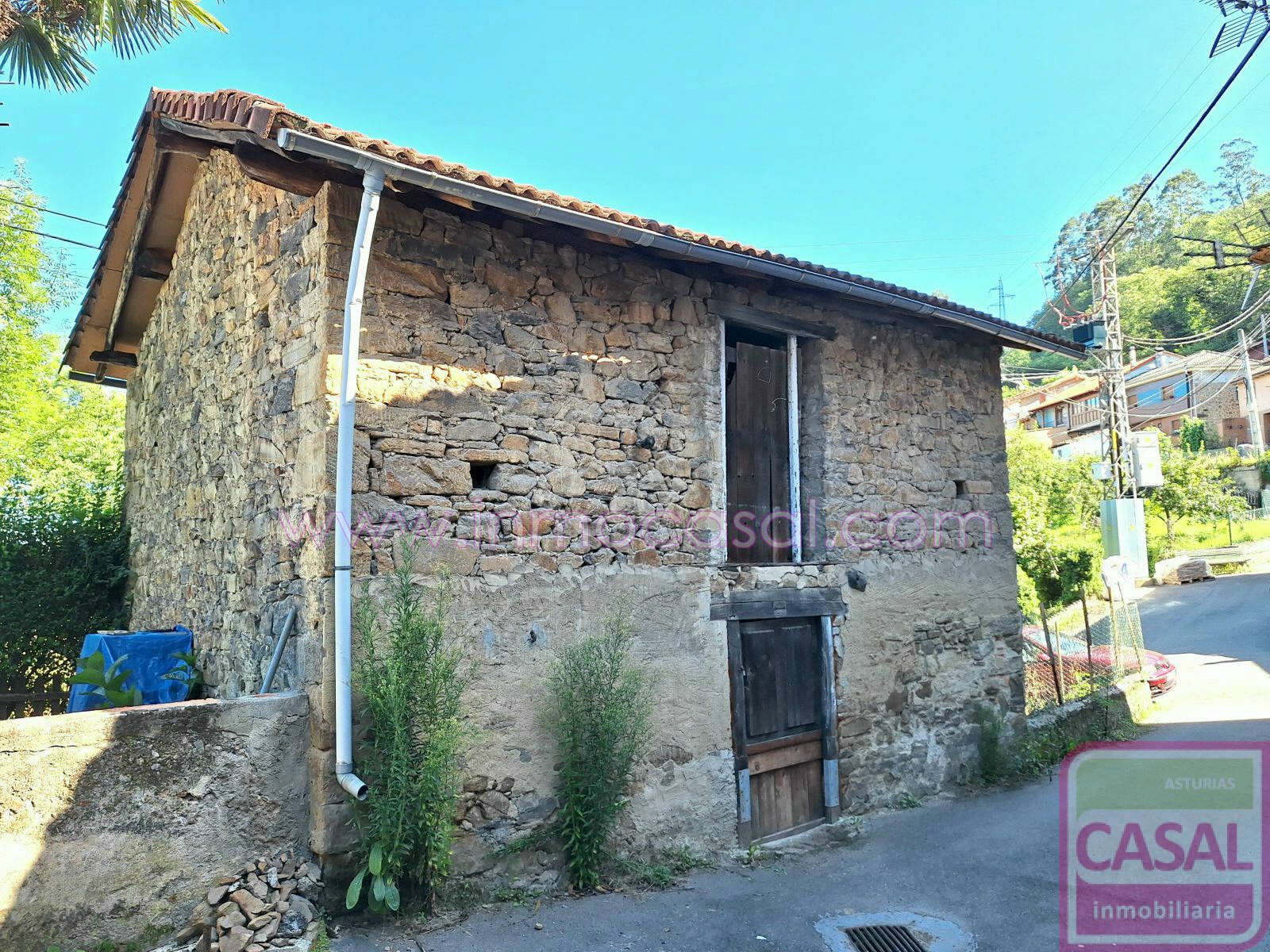 Vista exterior de Casa o xalet en venda en Mieres (Asturias)