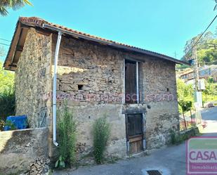 Exterior view of House or chalet for sale in Mieres (Asturias)